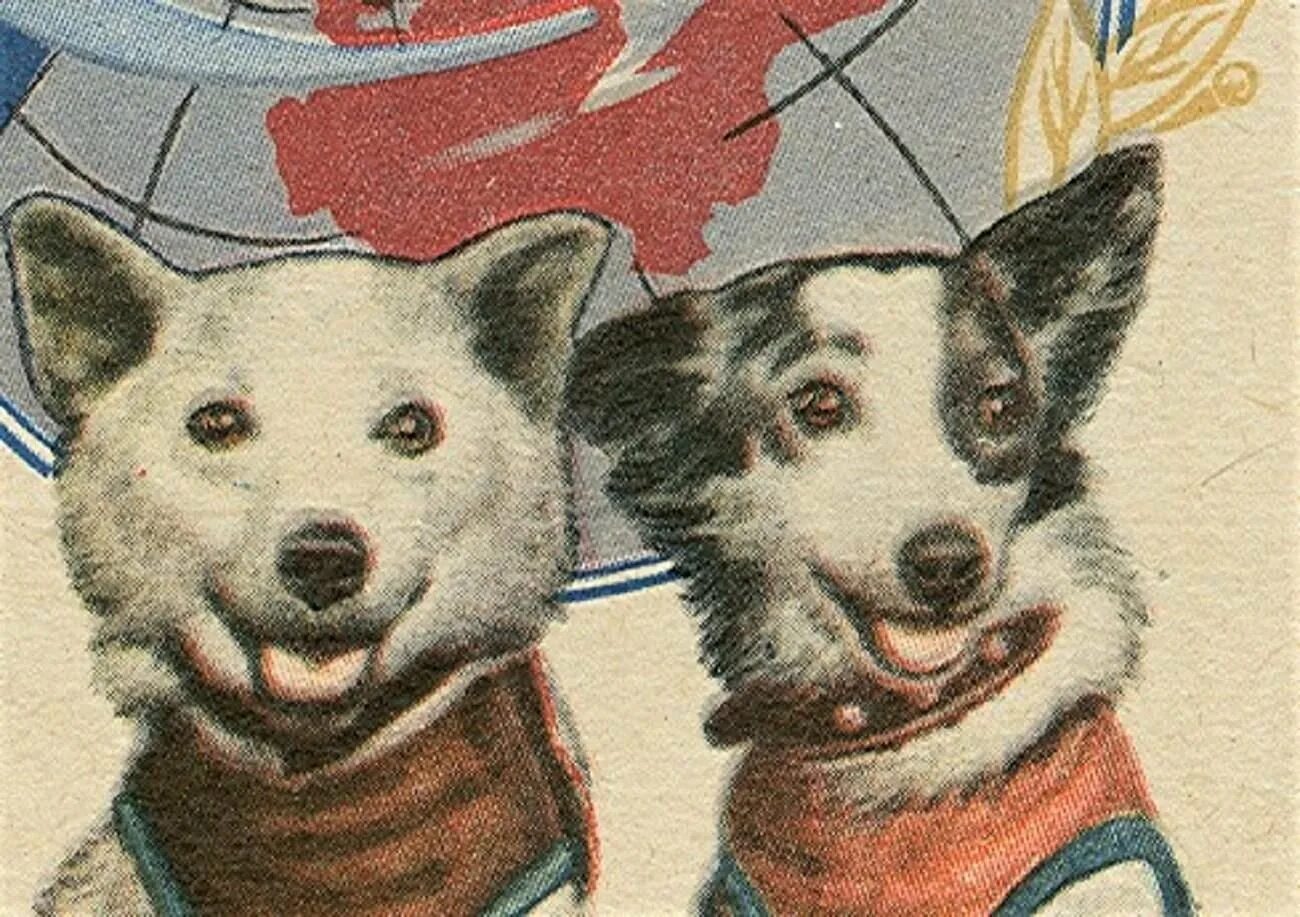 Картинка белка и стрелка в космосе. Белка собака космонавт. Белка и стрелка советские собаки-космонавты. Первые космические путешественники белка и стрелка. Изображение собак белки и стрелки.