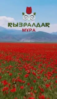 Қызы әкесін жыныстық қатынасқа оятты.