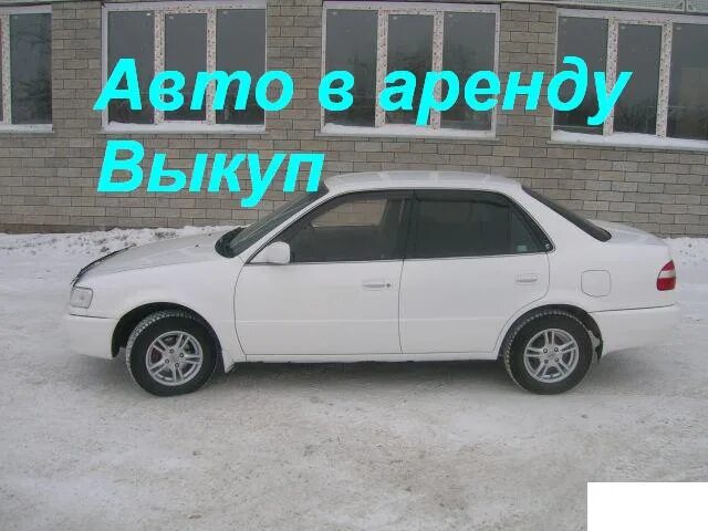 Авито авто под аренду. Арендую авто с выкупом. Автомобиль под выкуп рассрочка. Авто под выкуп в рассрочку. Аренда выкуп машина.