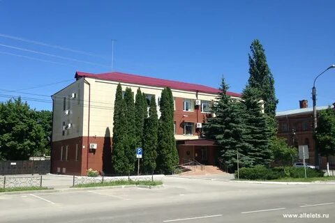 Елец участок