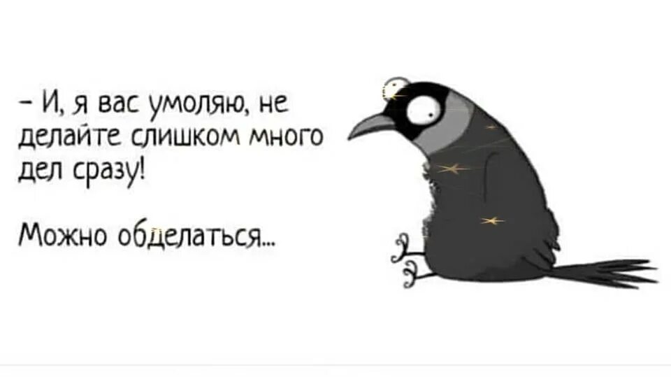 Что все люди делают одновременно на земле. Много дел прикол. Много дел можно обделаться. Когда много дел. Обделаться сделать много дел.