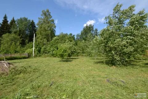 Ржищи шаховская
