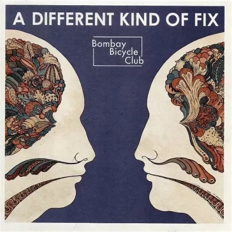 Песня different kind. Bombay Bicycle Club. Bombay Bicycle Club a different kind of Fix. Bombay by Bicycle Club. Bombay Bicycle Club - 2023 - my big Day.