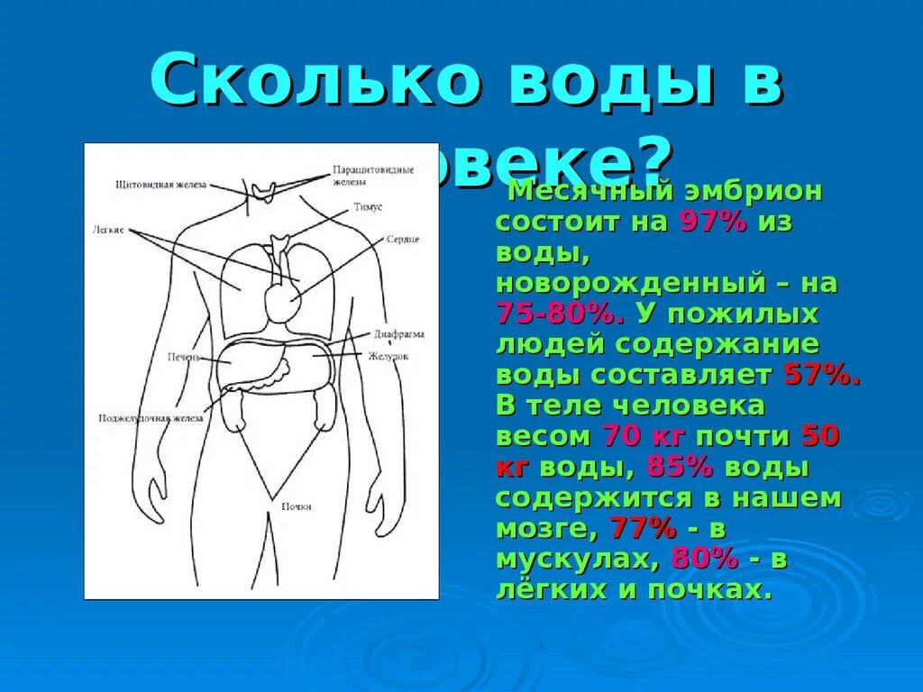 Человек на 75 состоит из воды. Сколько воды в теле человека. Сколько воды в человеке. Сколько кг воды в человеке. Сколько вволы в человеке.