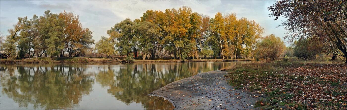 Река кубань пейзажи краснодарского края. Кубанская осень. Пейзажи кубани. Осуга река фото. Пейзаж реки кубань.
