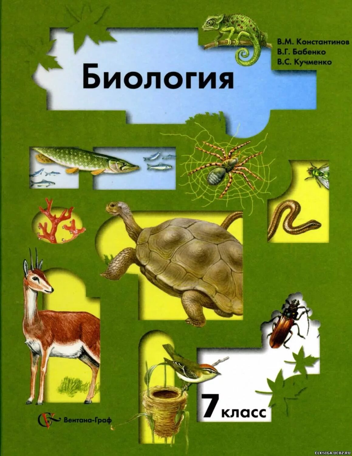 Константинов в.м., Бабенко в.г., Кучменко в.с. биология. Биология. Животные Константинов, Бабенко 7. В М Константинов в г Бабенко в с Кучменко биология 7. Биология 7 класс в м Константинов в г Бабенко в с Кучменко.