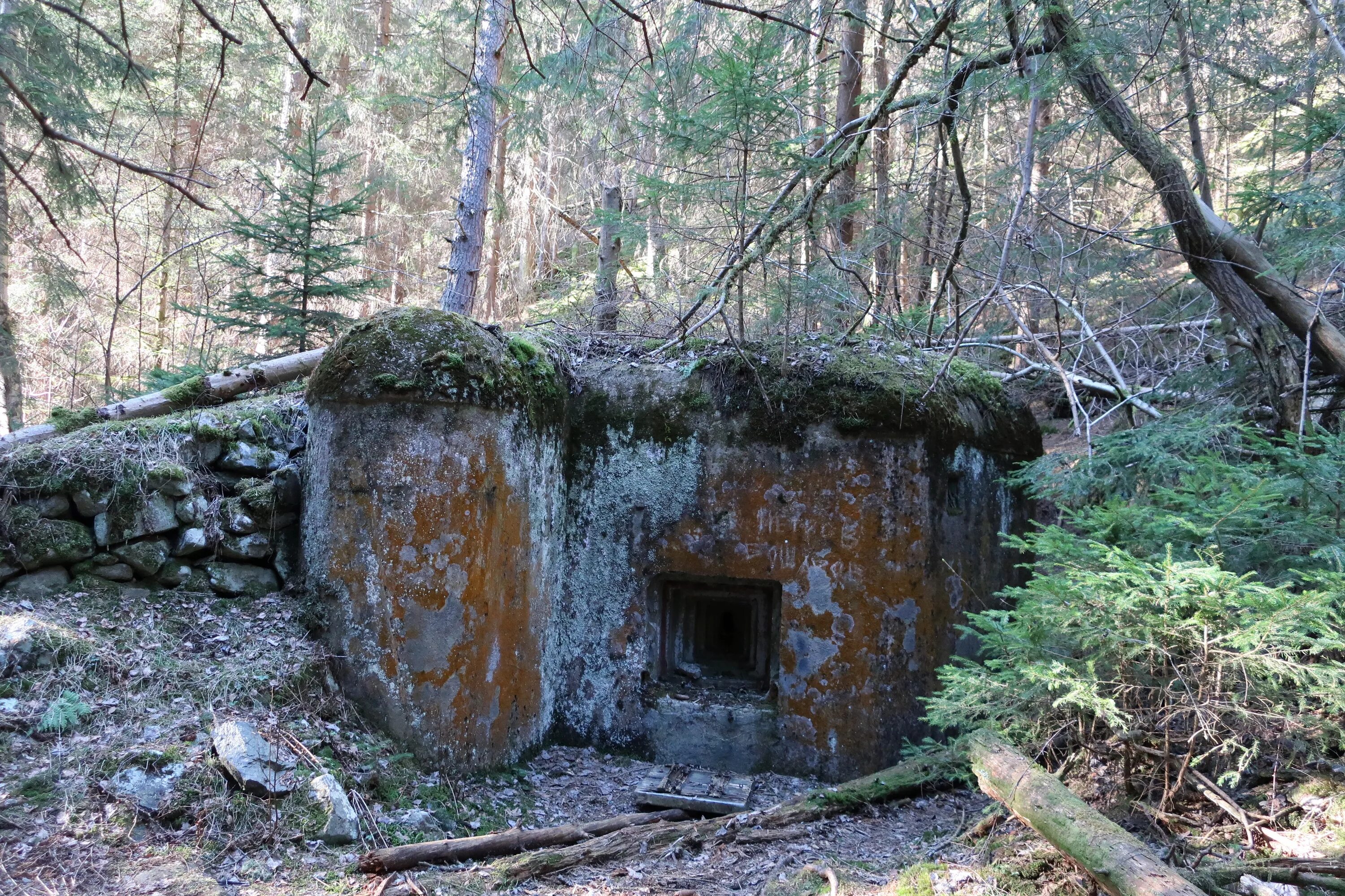 Bunkr site. Khavesot bunkr. meliusless bunkr. bunkr ditugga. kewandceli bunkr.