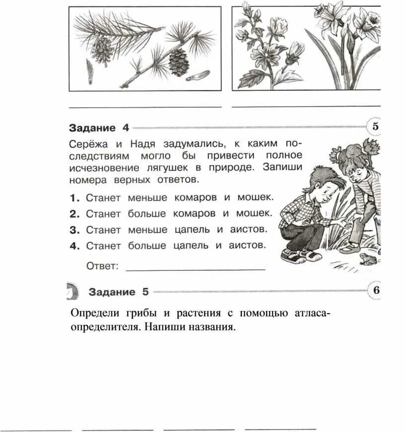 Как устроено общество 6 класс проверочная работа. Определи грибы и растения с помощью атласа определителя 3 класс. тест по окружающему миру 3 класс грибы. тест по окружающему миру 1 класс. задание узнай и напиши названия деревьев.