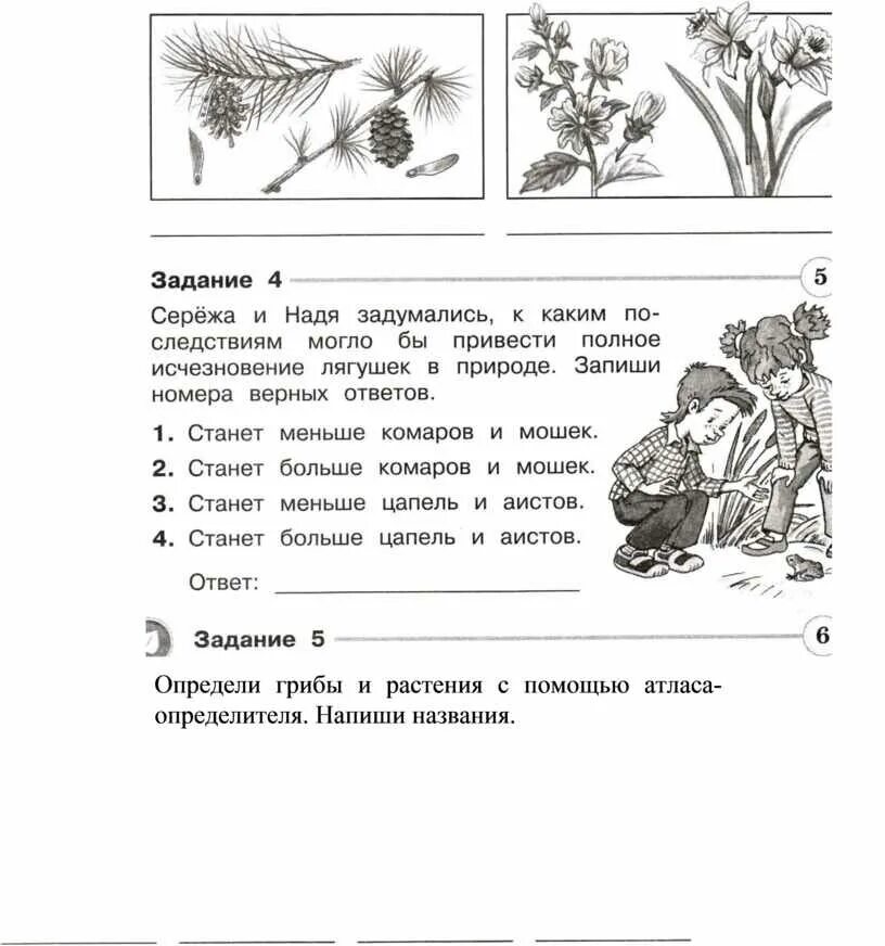 Грибы и растения с помощью атласа определителя. Определи грибы и растения с помощью атласа определителя 3 класс. Окружающий мир 3 класс с помощью атласа. Тест по окружающему миру 3 класс грибы. Окружающий мир 2 класс контрольная работа безопасность