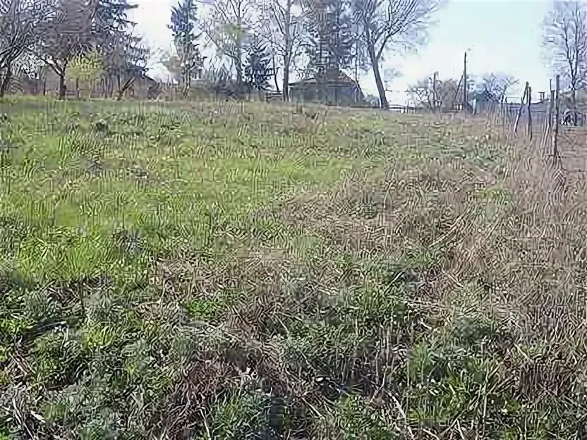 Земельные участки курская
