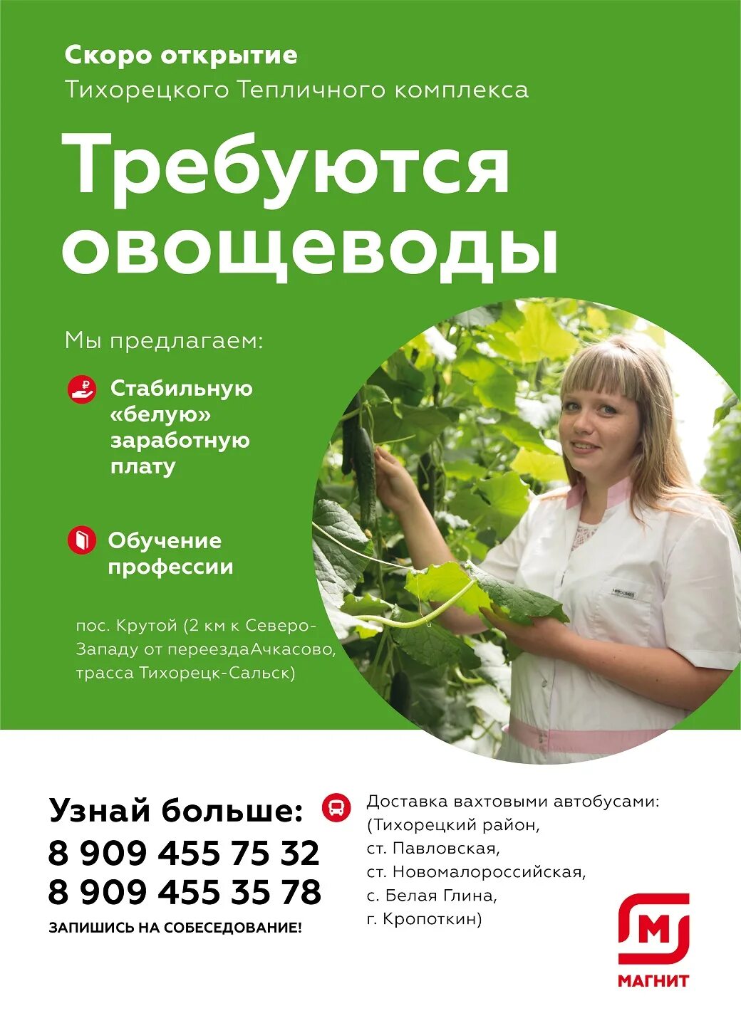 Работа в тихорецке свежие вакансии от прямых. ООО «тепличный комплекс «зеленая линия». Тихорецкий тепличный комплекс. Тепличный комплекс зеленая линия Пластуновская. Теплицы зеленая линия.