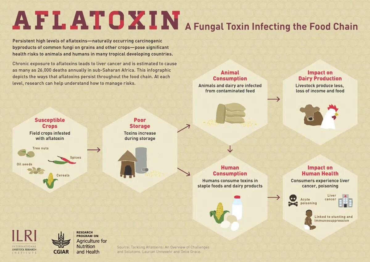 Health risks. International Livestock research Institute. Acute poisoning. Toxins Effect on the food Chain.