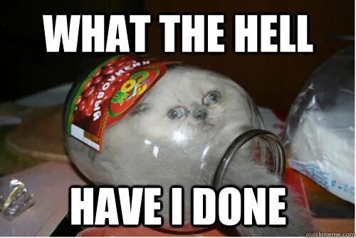 What the hell i doing here. What the hell. what the hell have i. what the heck. what the hell meme.