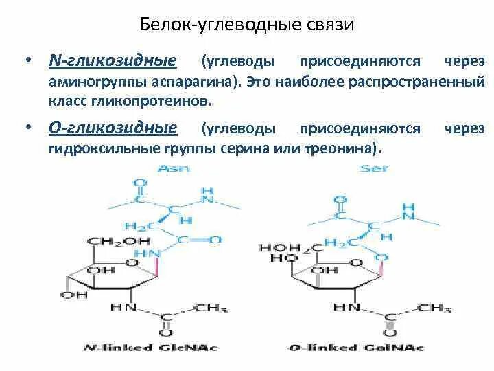 Углеводный жировой