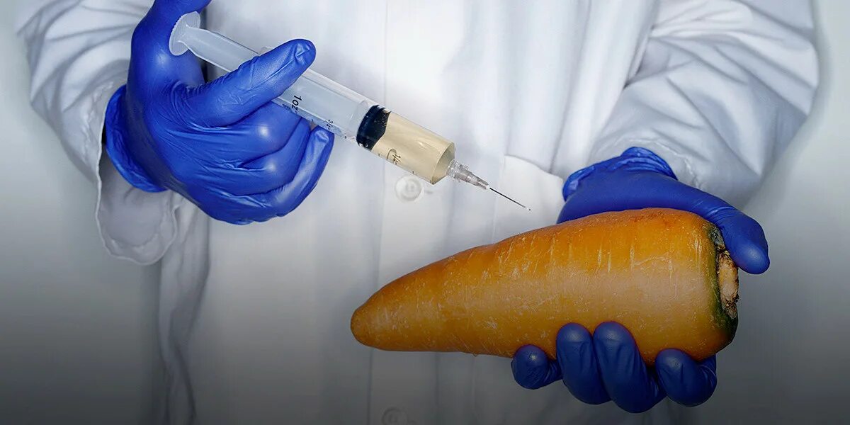 Генетически модифицированные люди. Гмо. генетически модифицированная пища. гмо овощи.