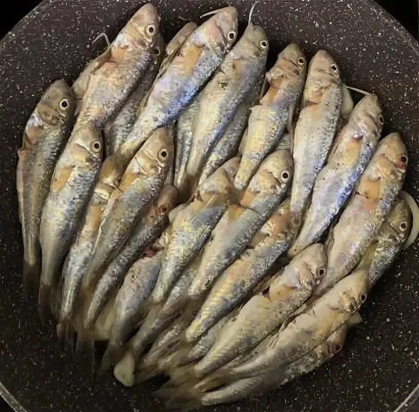 Как приготовить барабульку вкусно на сковороде