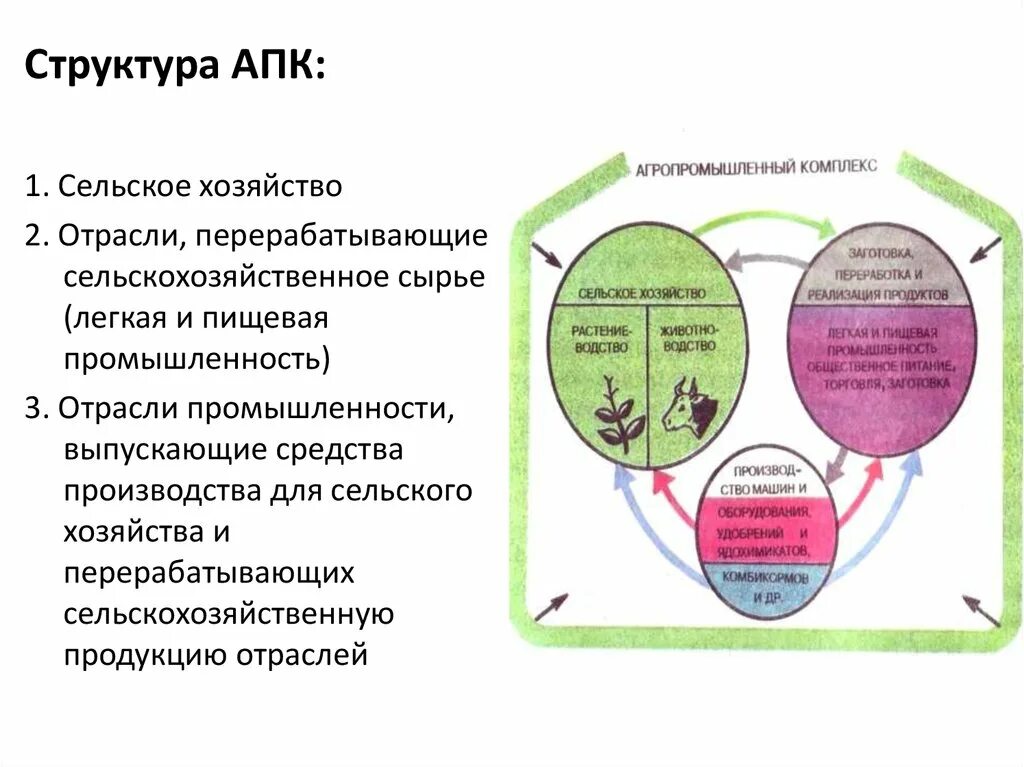 Изменение требований апк. Схема агропромышленного комплекса России. Структура агропромышленного комплекса России. Состав комплекса АПК. Состав агропромышленного комплекса.сельское хозяйство.