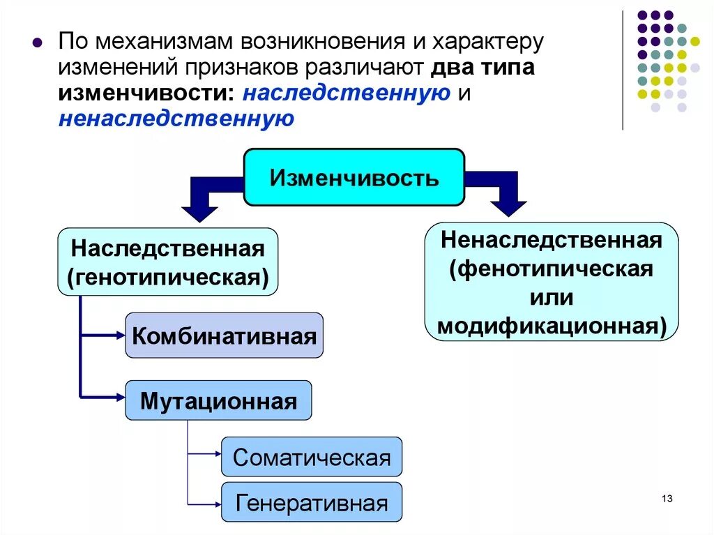 Какие формы изменчивости различают. Механизм наследственной изменчивости. механизмы генетической изменчивости. различают два типа изменчивости. механизмы возникновения изменчивости.