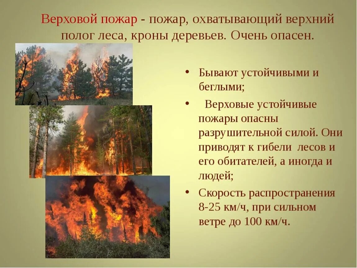 Почему много пожаров. Лесные пожары презентация. Презентация на тему пожар. Пожар для презентации. Слайд верховой пожар.