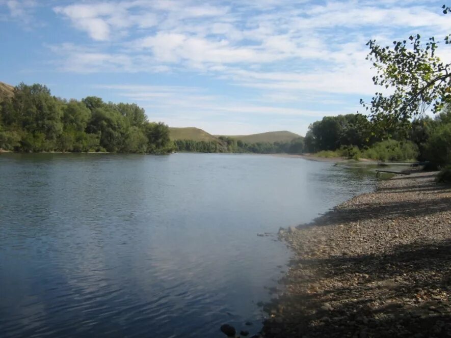 Курья (Курьинский район). Алтай Курья. Калмацкий Алтайский край. Село Курья Алтайский край. Погода рп5 курья алтайский курьинский