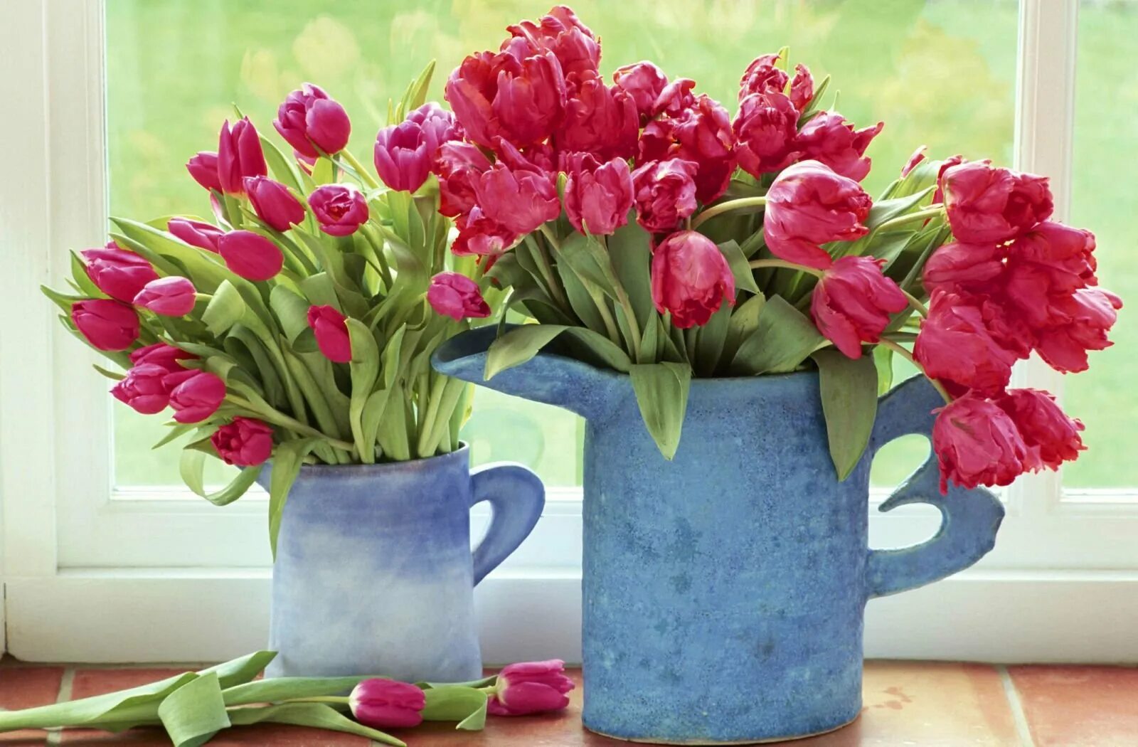 Как сохранить свежие тюльпаны в вазе. Тюльпаны в вазе. Букет тюльпанов в вазе. Тюльпаны в вазе на окне. Махровые тюльпаны в вазе.