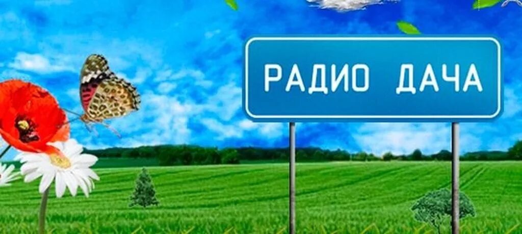 радио дача реклама. ражиодача. радио дача реклама. радио дача вологда. ведущие радио дача таня фишер.