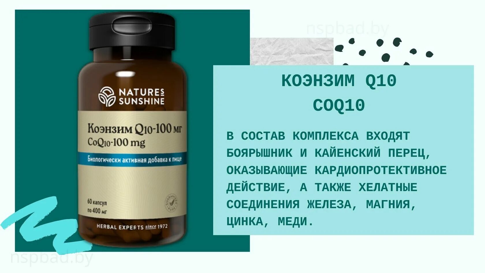 Коэнзим ку 10 для чего. NSP коэнзим q10. Суперубихинол коэнзим q10. Липосомальный коэнзим q10. Коэнзим 10 НСП.