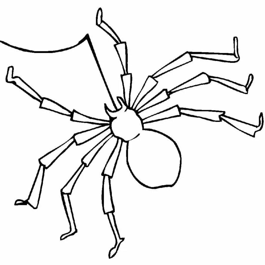Паук крестовик раскраска. Картинка для раскрашивания паук для детей. Паучок раскраска для детей. Паук рисунок карандашом для детей. Паук раскраска для детей 4 5 лет