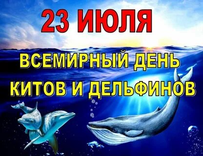 С 23 июня по 23 июля