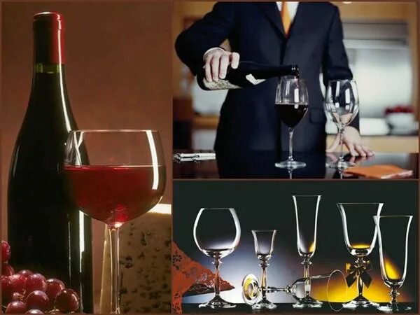 сочетание вина и еды. этикет вина. красное вино сомелье. как правильно держать бокал с вином. бокал вина за столом.