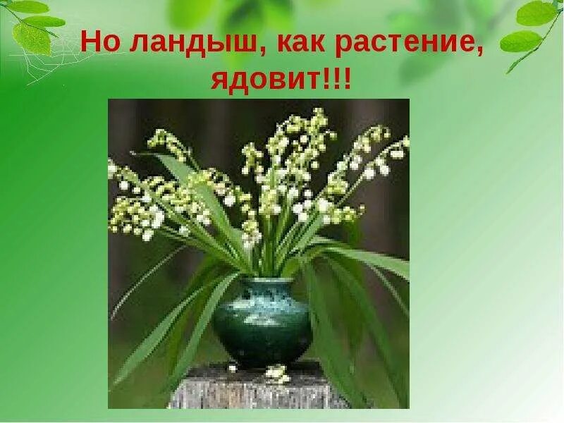 Ландыш проект 2 класс Красная книга ландыш майский презентация Фото подборки