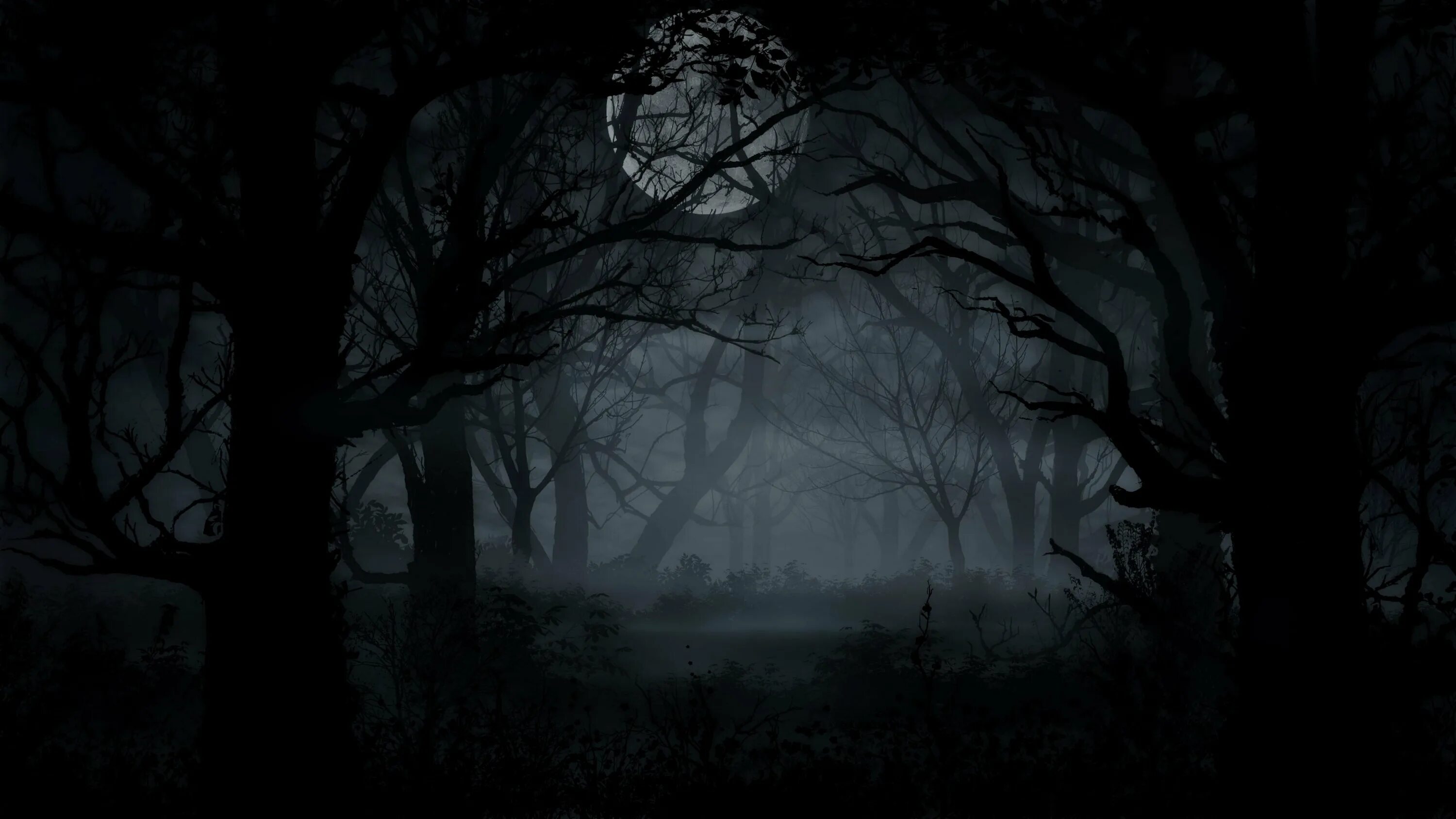 Ночи теплы и непроглядны в черной тьме. Мрачный лес. Темный лес. Мрачный пейзаж. Лес темный страшный.
