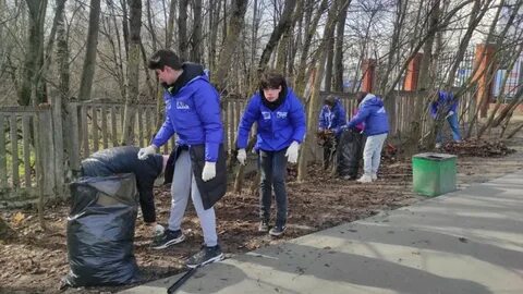 Отзывы о работе зеленоград