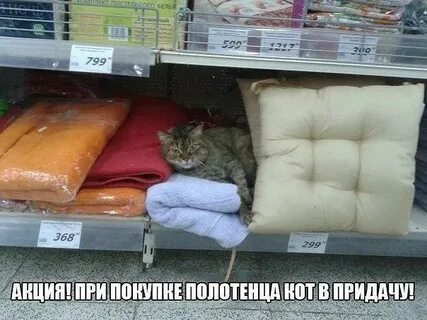 Просто тут