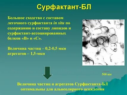 Сурфактант это