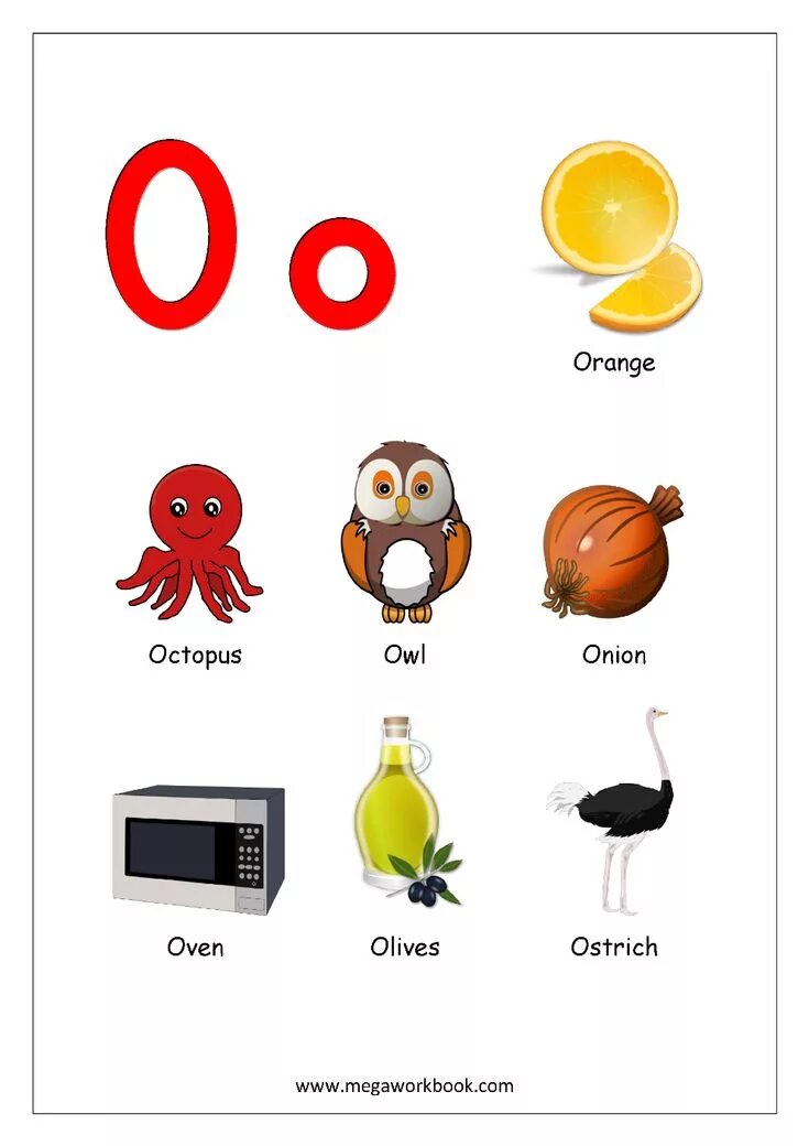 Start with a letter. Английская буква o. words with letter o. words on letter o. буква o в английском языке для детей.