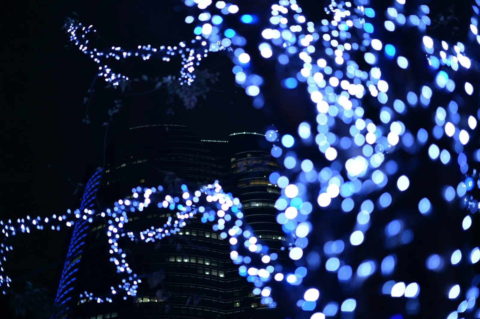 Блики на черном фоне. Обои для телефона интерьер рабочая места. Красное свечение. Light illumination. Блик.