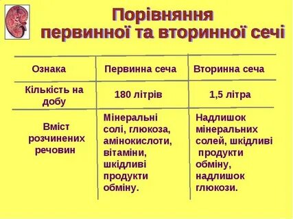 Яка кількість