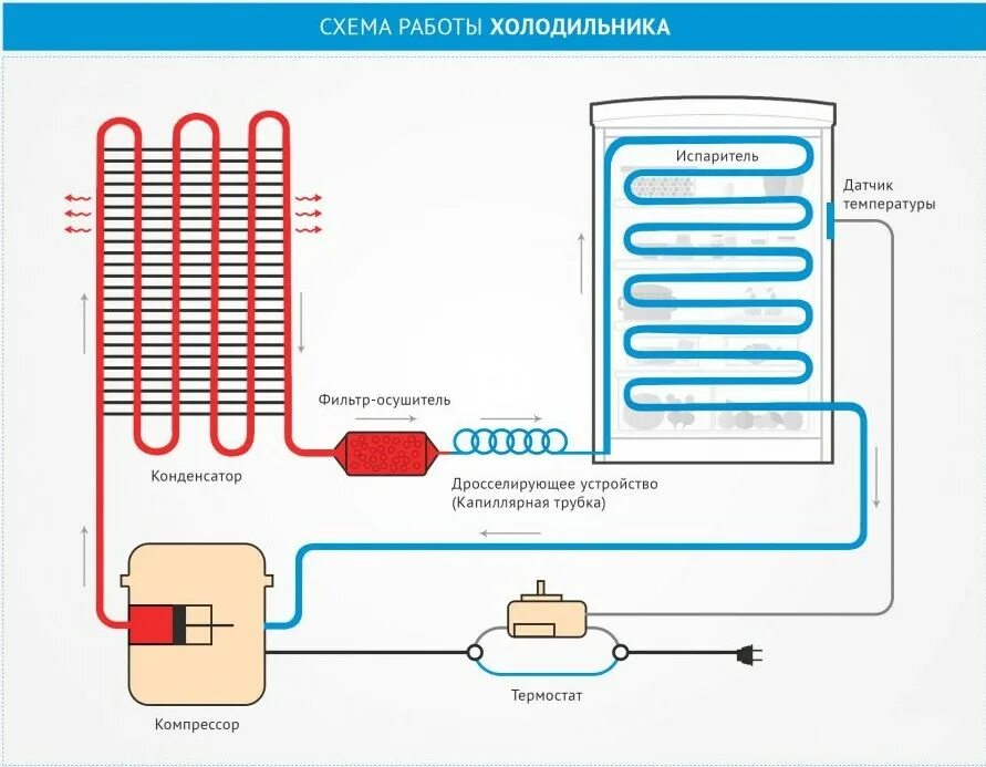 Как определить работу холодильника. Схема бытового прибора холодильник. Из чего состоит холодильник ноу фрост. Функции холодильника. Как определить работу холодильника.