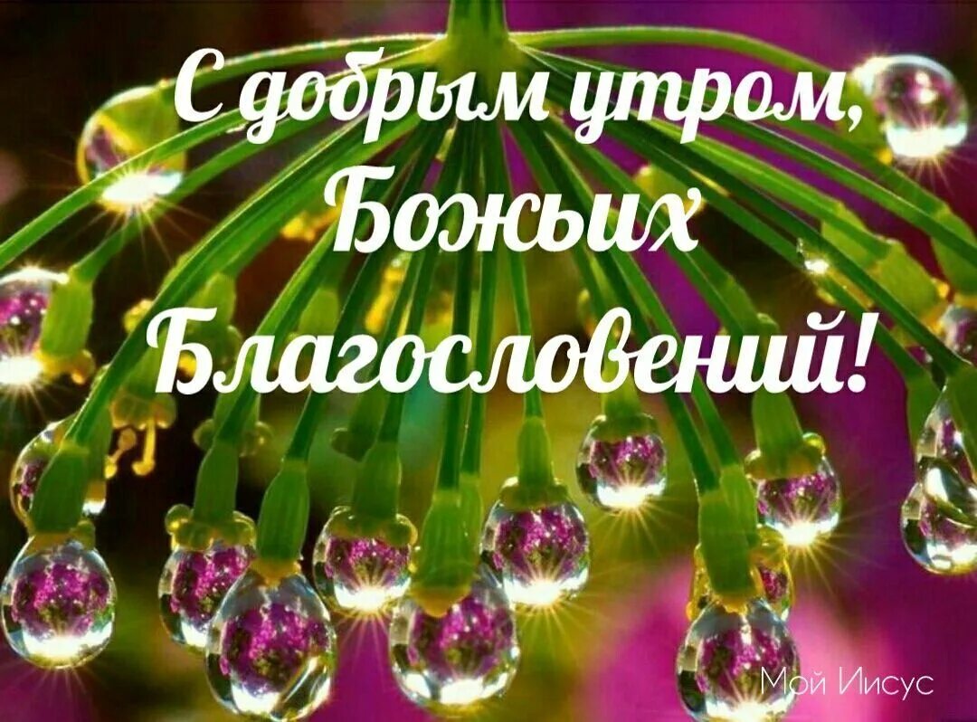 Добрых благословений в новом дне. Доброе утро Божьих благословений. Божьего благословения на день. Открытки с Божьим благословением. Открытки с пожеланиями Божьих благословений.