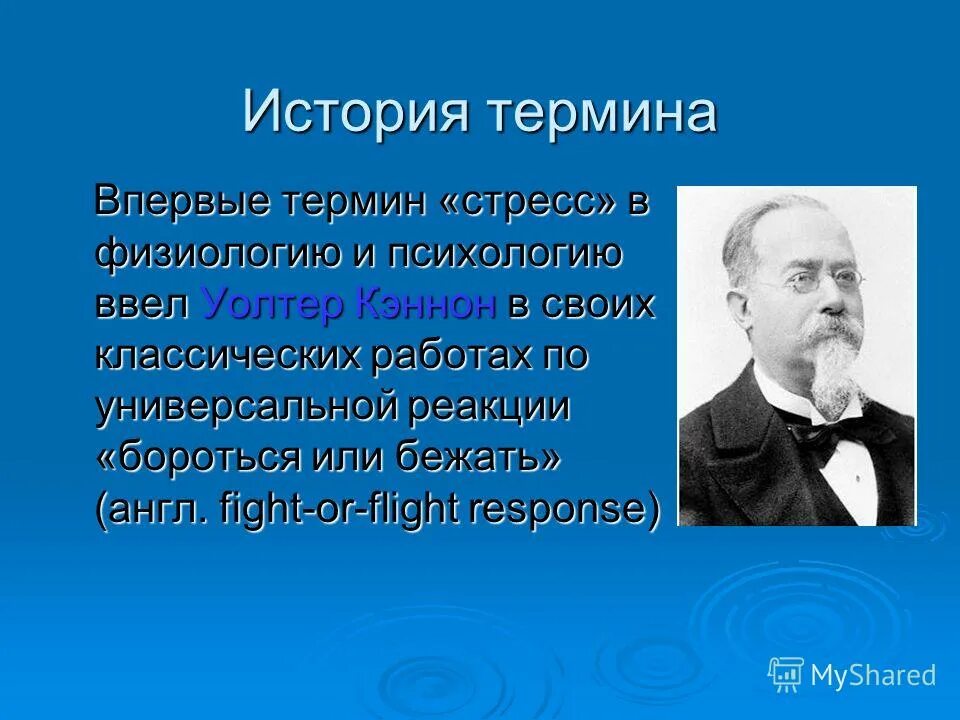 Павлов. Кто разработал учение об анализаторах. Понятие об анализаторах ввел. Понятие об анализаторах ввел. И п павлов ввел понятие анализатора.