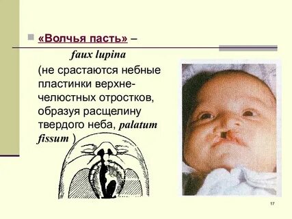 Пасть фразеологизм