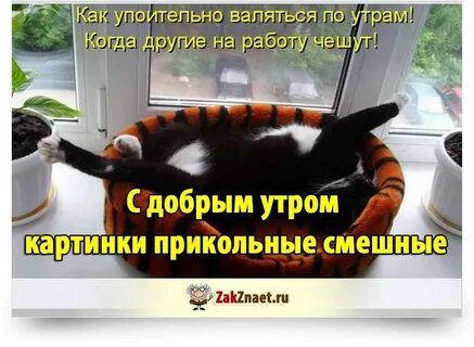 Как хорошо когда другие чешут на работу