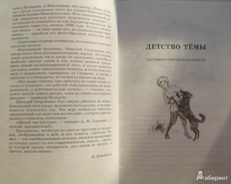 Михайловский детство краткое содержание. Н Г Гарин-Михайловский детство тёмы ябеда. Детство тёмы Гарина- Михайловского книга. Н Гарин Михайловский детство тёмы глава 1.