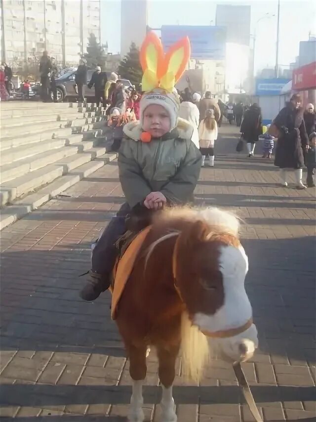 чижик с 4 июля 2024 года