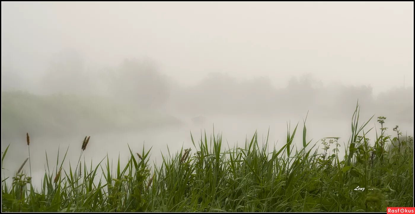 Ryobi morning Fog. Утренний туман начинал слегка рассеиваться впр ответы