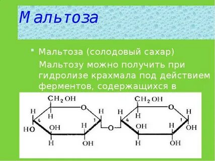 Мальтоза функции