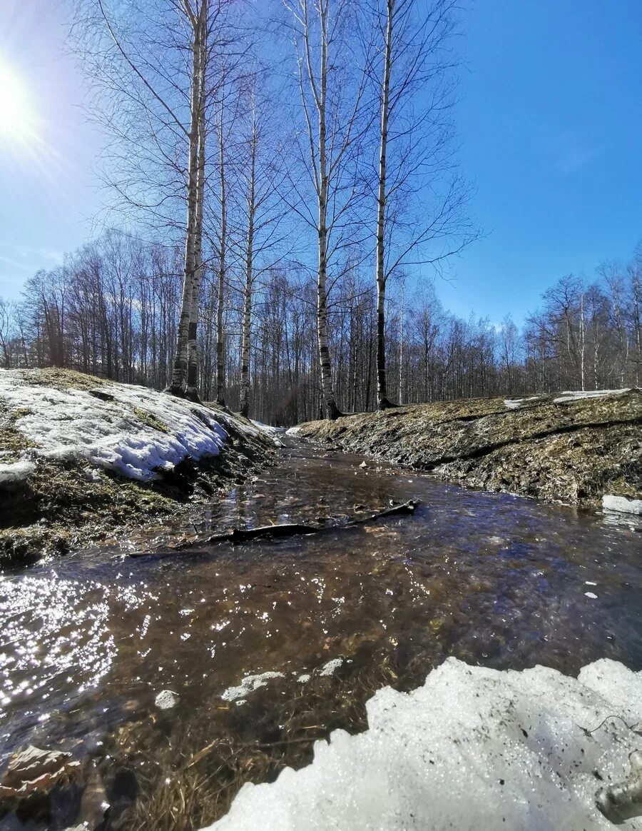 Шмелевский ручей. Парк Шмелевский ручей.