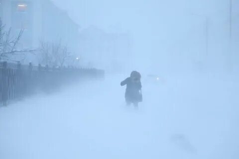 Общая метель это