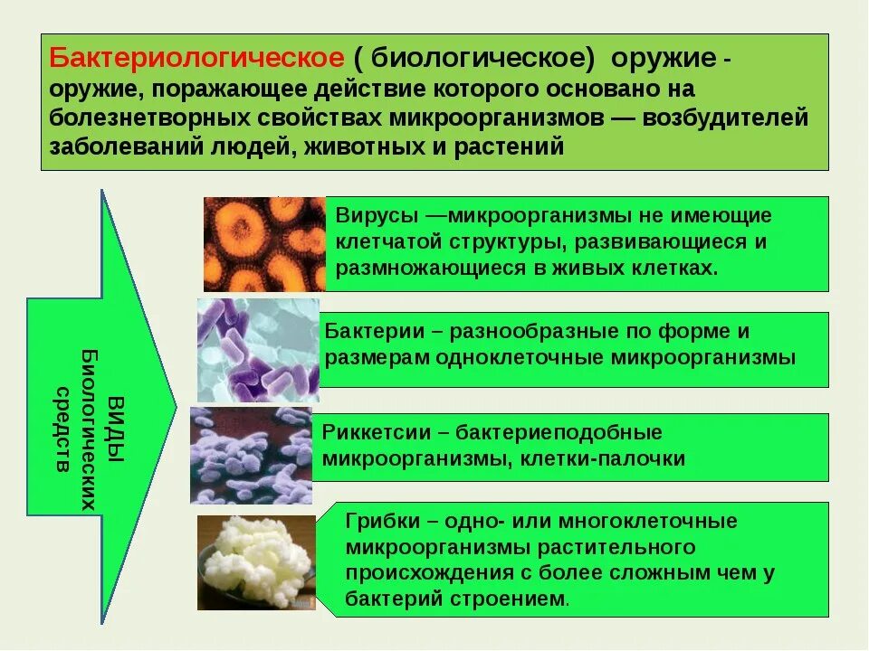 Что можно отнести к биологическим. Биологическое оружие определение. Что относится к биологическому оружию. Классификация бактериологического биологического оружия. Поражающие факторы бактериологического оружия ОБЖ.